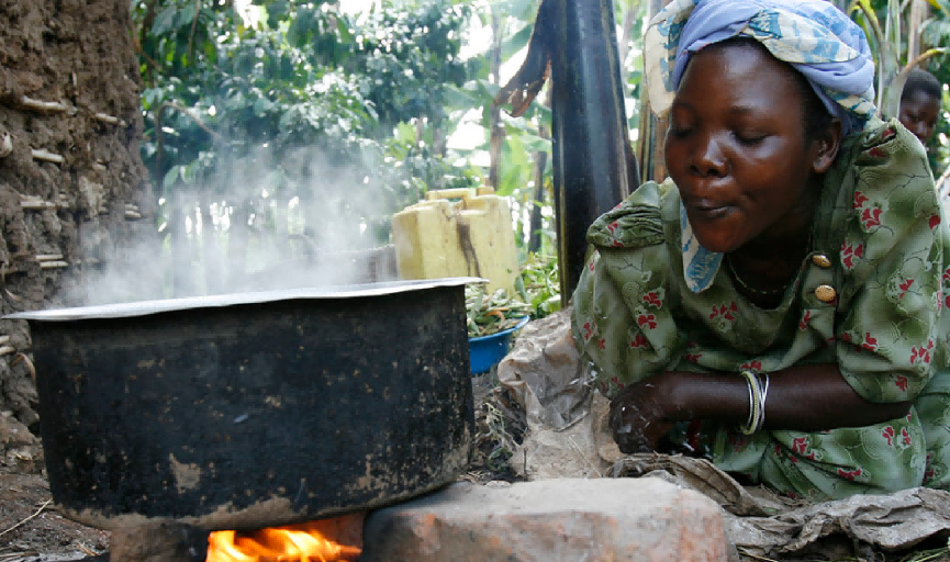Clean Cooking Initiatives