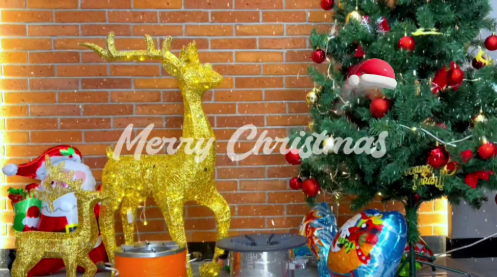 SSM wishes you all a merry Christmas 2023