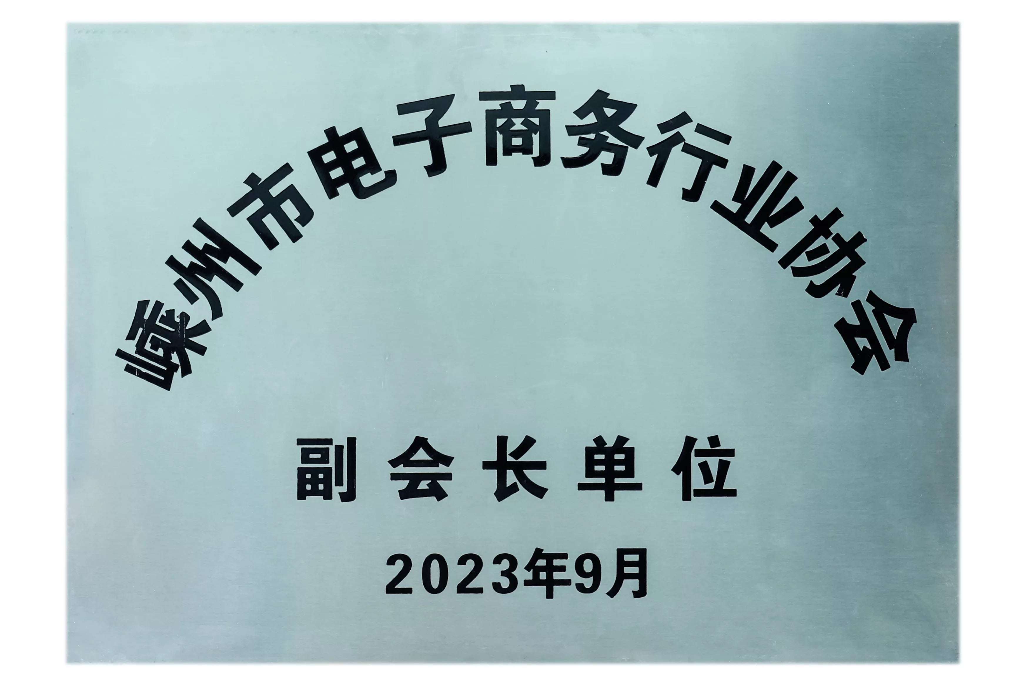 SSM Company became a vice president unit of Shengzhou E-commerce Industry Association in 2023.